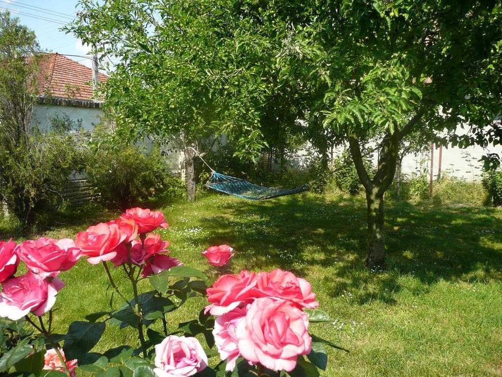 Guest House Tisza Haz Senta Buitenkant foto