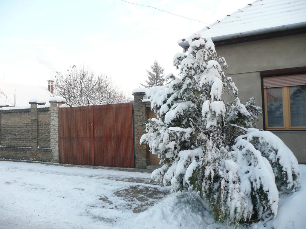 Guest House Tisza Haz Senta Buitenkant foto